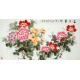 Chinese Peony Painting - CNAG010298