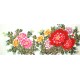 Chinese Peony Painting - CNAG011469