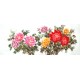 Chinese Peony Painting - CNAG011492