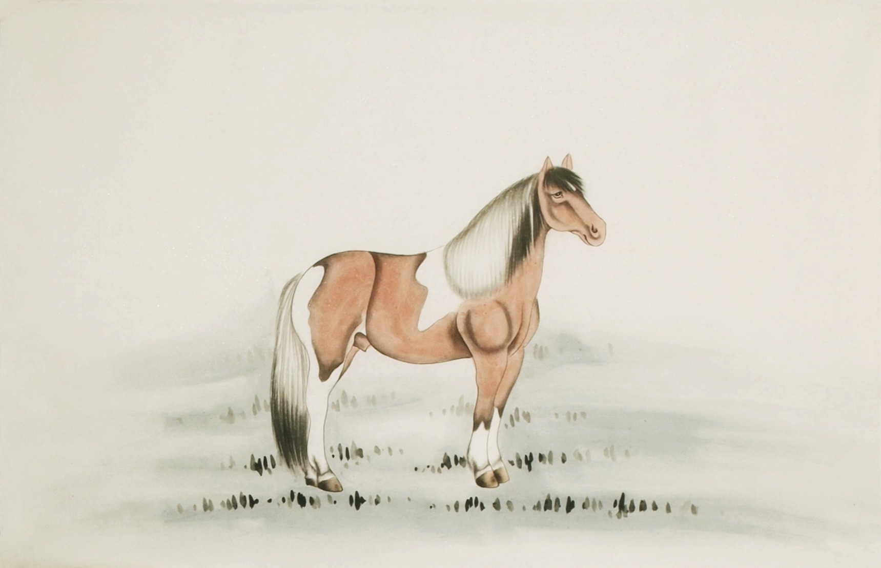 Horse - CNAG001948