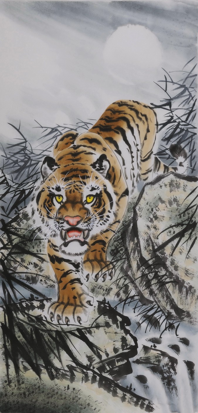 Tiger - CNAG000033