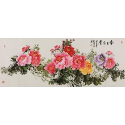 Peony - CNAG004075