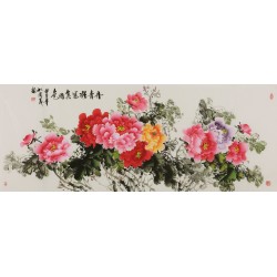 Peony - CNAG004085