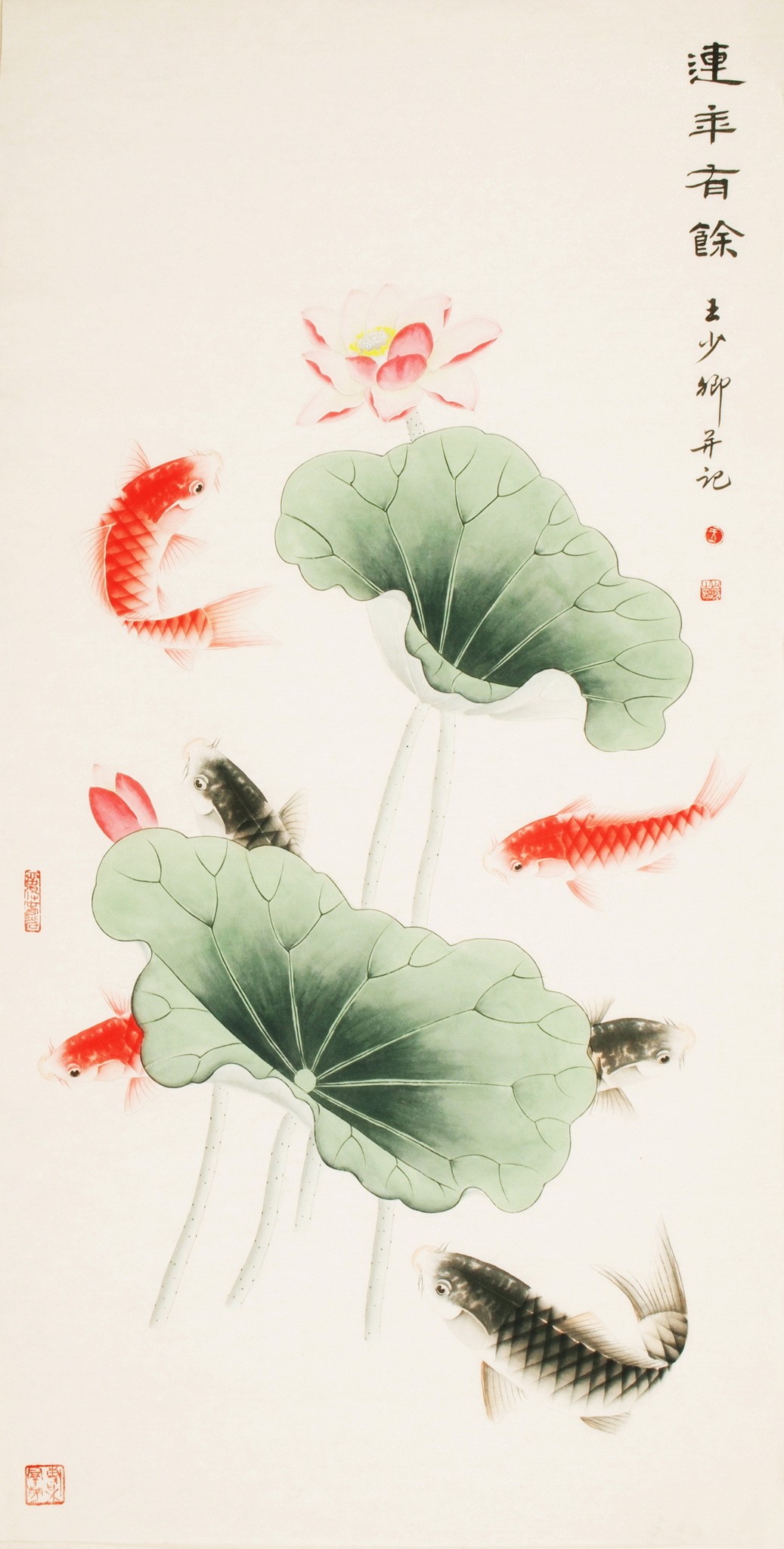 Fish - CNAG000427