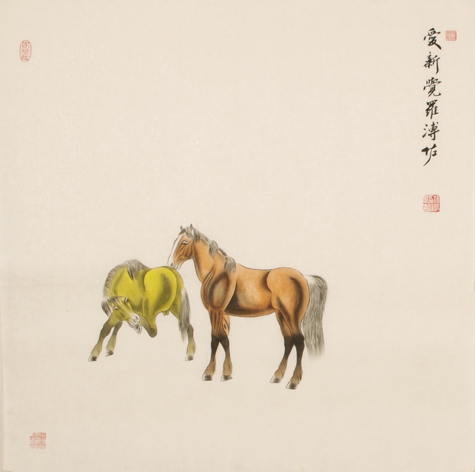 Horse - CNAG004457