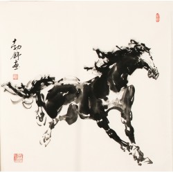 Horse - CNAG004459