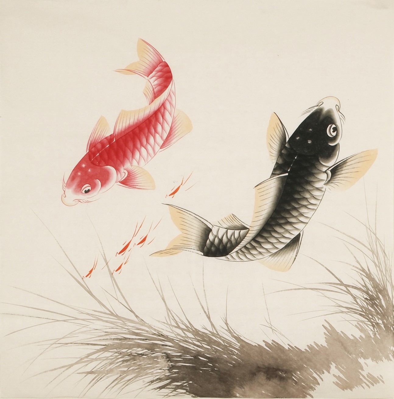 Fish - CNAG005518