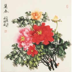 Peony - CNAG005616