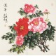 Peony - CNAG005619