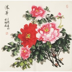 Peony - CNAG005619