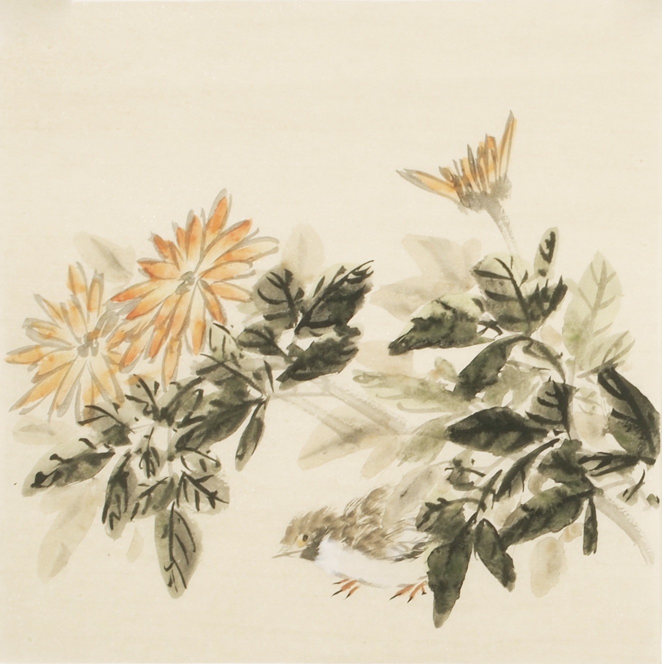Other Birds - CNAG006753