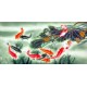 Chinese Fish Painting - CNAG007484