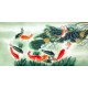 Chinese Fish Painting - CNAG007488