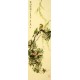 Chinese Peony Painting - CNAG008347