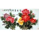 Chinese Peony Painting - CNAG008932