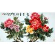 Chinese Peony Painting - CNAG008937