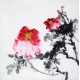 Chinese Peony Painting - CNAG009071