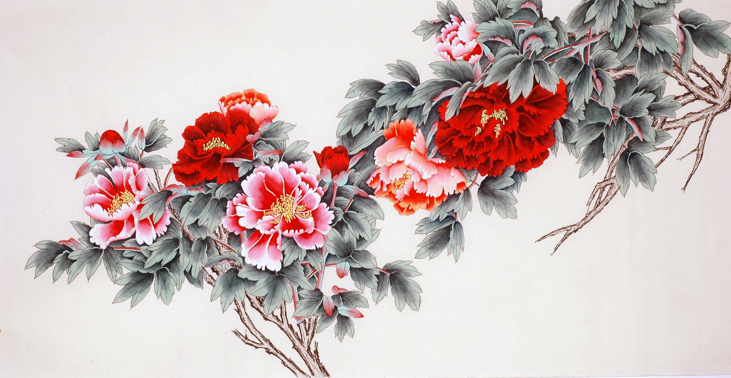 Chinese Peony Painting - CNAG009315