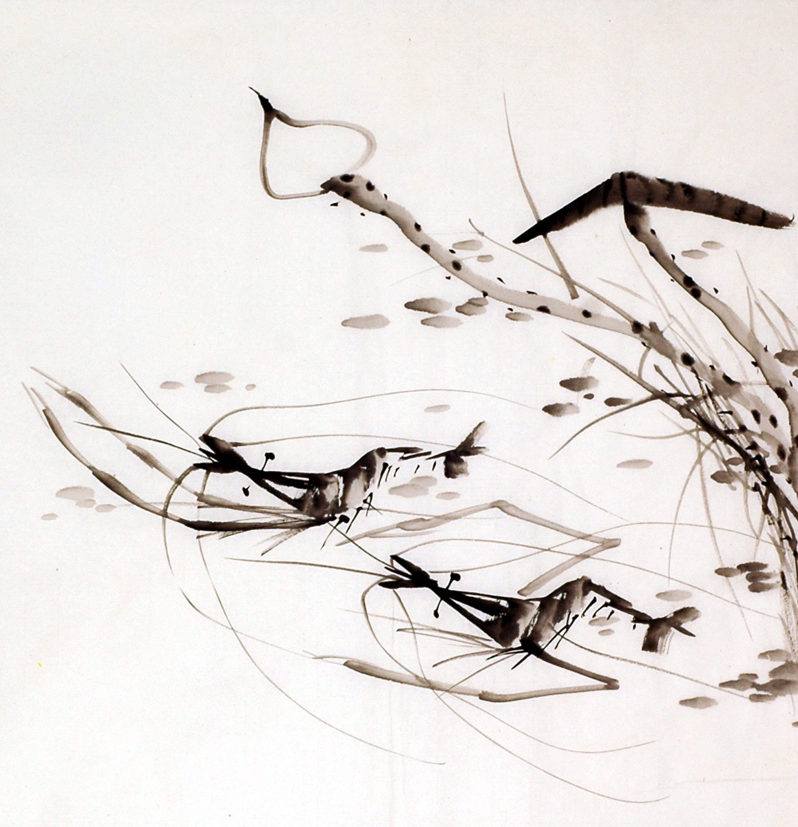 Chinese Shrimp Painting - CNAG009921