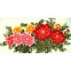 Chinese Peony Painting - CNAG010086